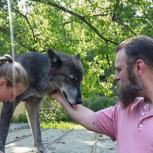 Meet your Posher, Jad